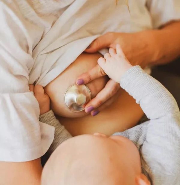 coupelles d'allaitement en argent protège mamelon soin crevasses lait maternel